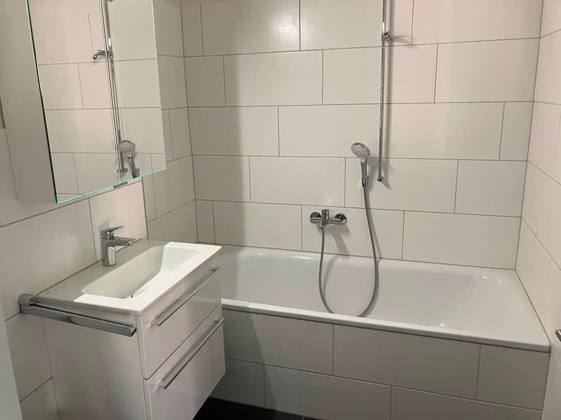 Helle 3.5-Zimmer-Wohnung mit Balkon in Egliswil (6)