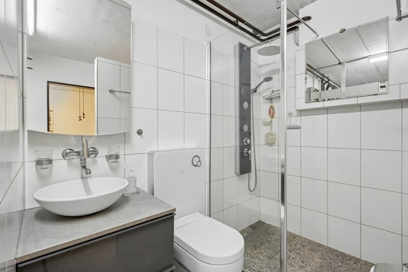 WEITBLICK - LEBENSRAUM - EINLIEGERWOHNUNG (10)