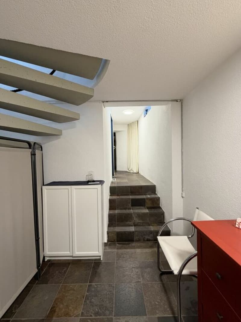 GROSSZÜGIGER GEWERBERAUM IM HERZEN VON FISLISBACH (9)