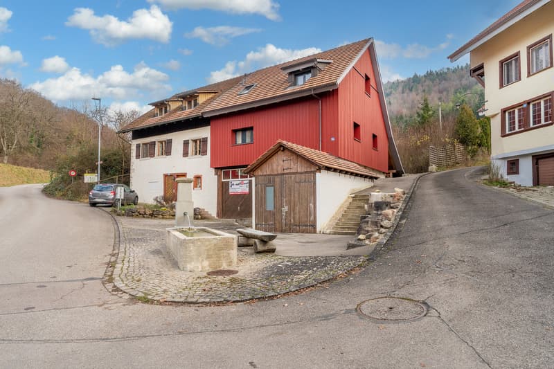 Charmante Maisonette-Wohnung in umgebauter Scheune (11)