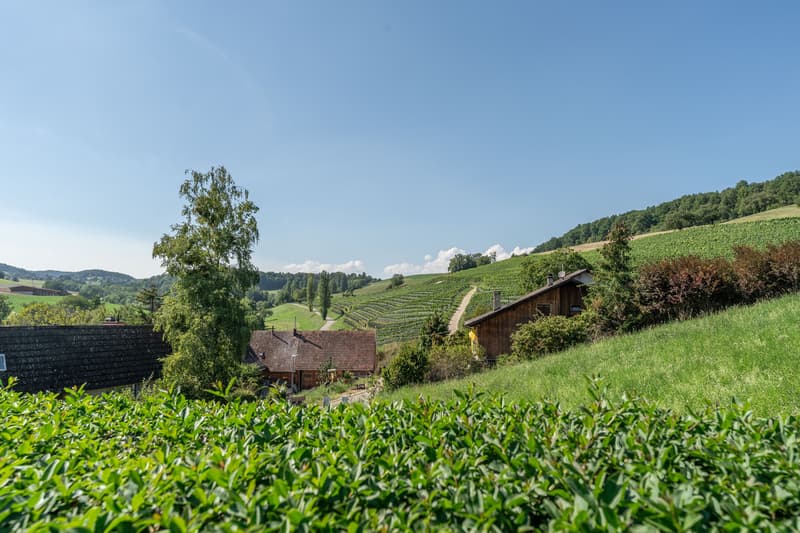 ,,In Altdorf ist die Welt noch in Ordnung" (12)