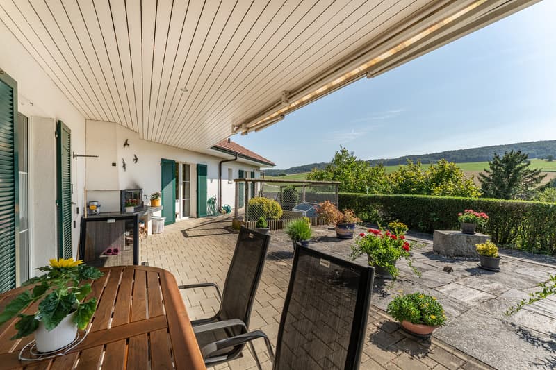 ,,In Altdorf ist die Welt noch in Ordnung" (2)