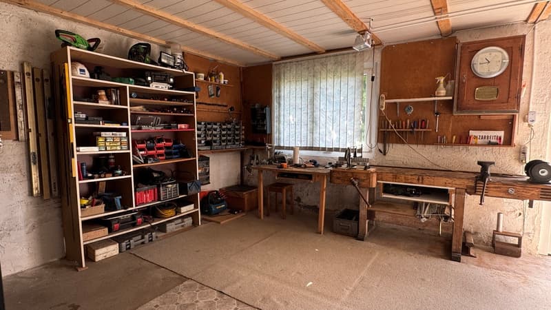 Einfamilienhaus mit grosser Baulandreserve (11)