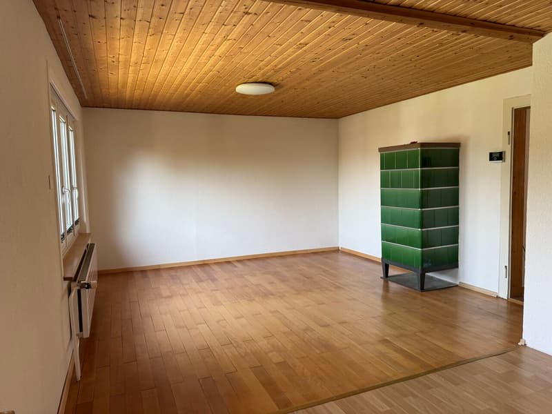 Einfamilienhaus mit grosser Baulandreserve (5)