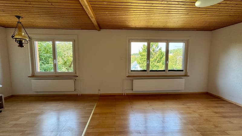 Einfamilienhaus mit grosser Baulandreserve (6)
