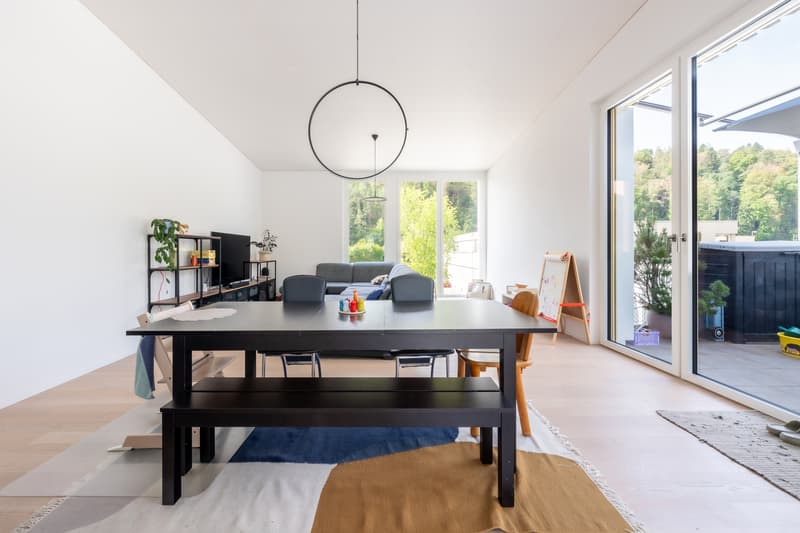 Urbanes Wohnen auf zwei Ebenen - grosszügige Maisonette-Attikawohnung (3)