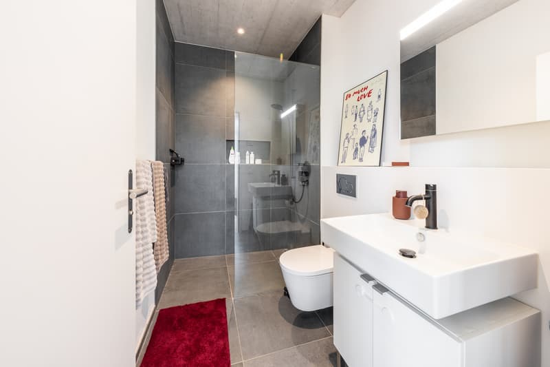 Urbanes Wohnen auf zwei Ebenen - grosszügige Maisonette-Attikawohnung (9)