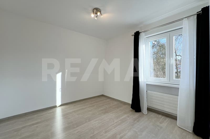 Family-friendly home with development potential directly on the stream (8)