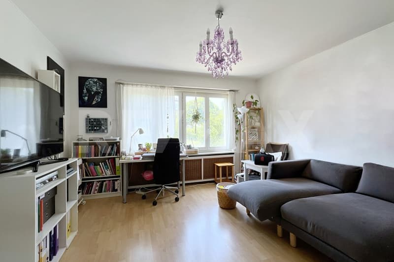 Zentral gelegene Wohnung mit Dachterrasse und Schlossblick (3)