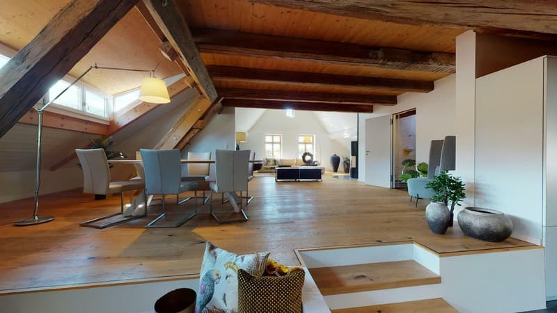 310 m2 grandiose LOFT - Wohnung  Option... Einbau eines Dachbalkons! (1)