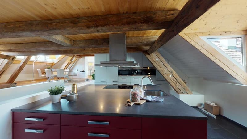290 m2 grandiose LOFT - Wohnung  Option... Einbau eines Dachbalkons! (2)