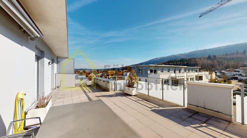 Grosse Attikawohnung mit Sonne von früh bis spät (13)