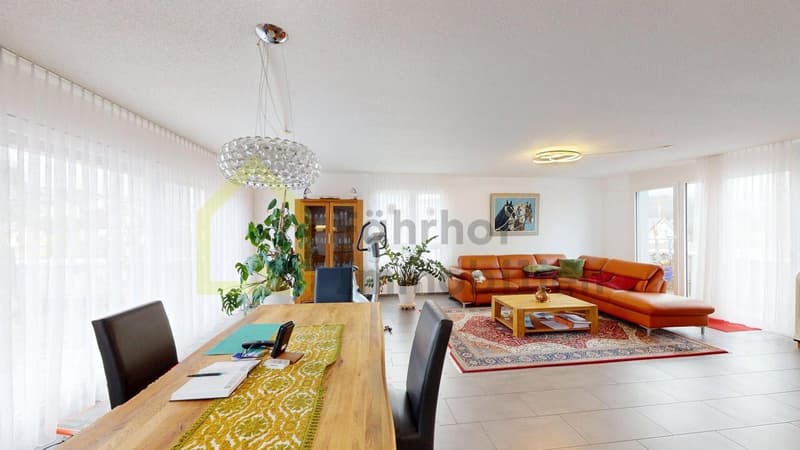 Exklusive Attikawohnung mit traumhafter Dachterrasse und zwei EHP's (2)