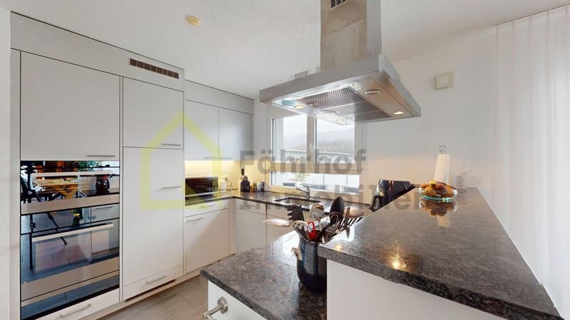 Exklusive Attikawohnung mit traumhafter Dachterrasse und zwei EHP's (3)