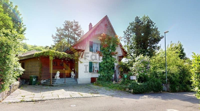 Grosses Liebhaberobjekt mit idyllischem Garten (3)