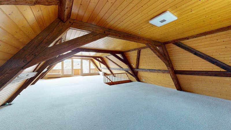Liebhaberobjekt - Grosszügige Maisonette-Wohnung mit Charme (3)