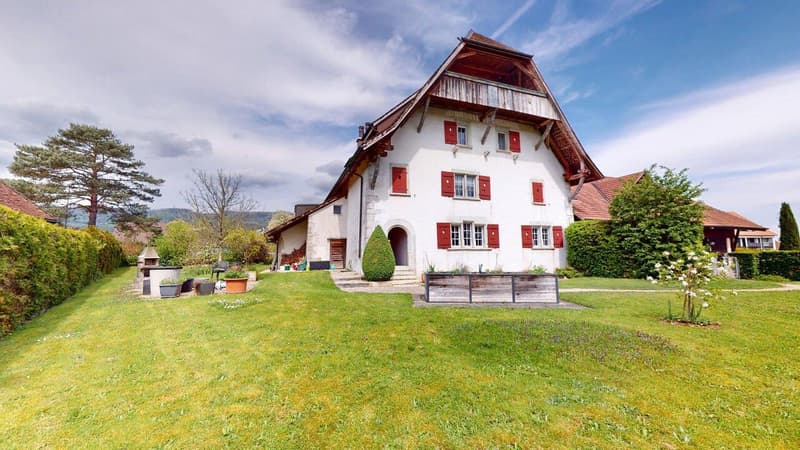 Liebhaberobjekt - Grosszügige Maisonette-Wohnung mit Charme (4)