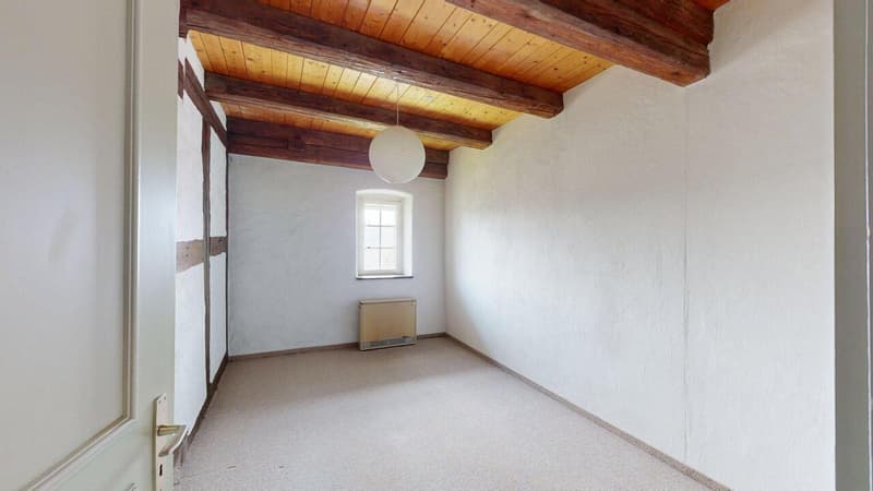 Liebhaberobjekt - Grosszügige Maisonette-Wohnung mit Charme (11)
