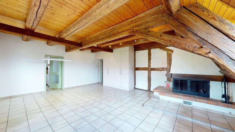 Liebhaberobjekt - Grosszügige Maisonette-Wohnung mit Charme (2)