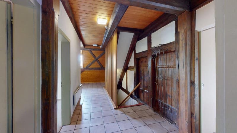 Liebhaberobjekt - Grosszügige Maisonette-Wohnung mit Charme (7)