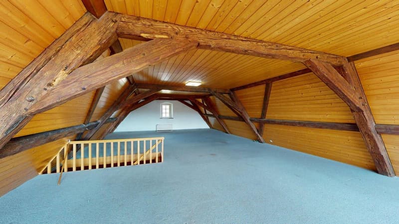 Liebhaberobjekt - Grosszügige Maisonette-Wohnung mit Charme (13)