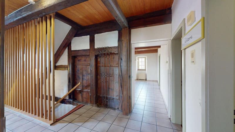 Liebhaberobjekt - Grosszügige Maisonette-Wohnung mit Charme (9)