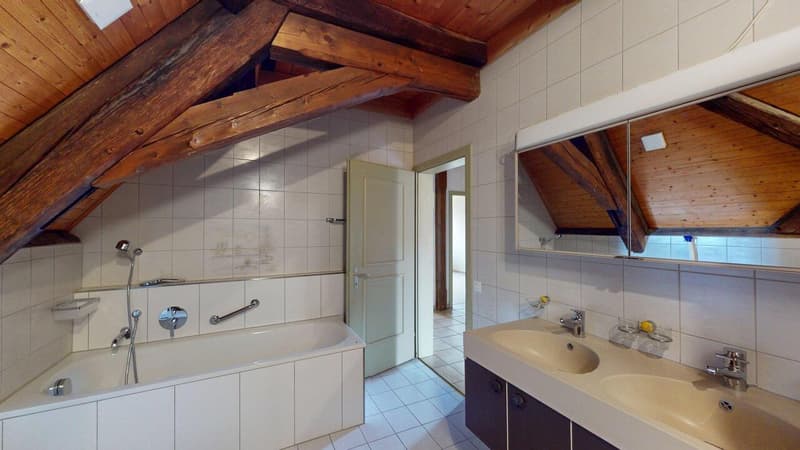 Liebhaberobjekt - Grosszügige Maisonette-Wohnung mit Charme (8)