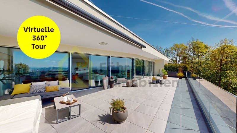 Exklusive Attikawohnung mit atemberaubender Panoramasicht (1)