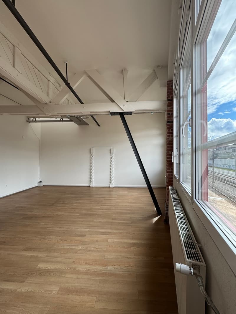 Heller und grosszügiger LOFT- Büro- oder Gewerberaum (3)