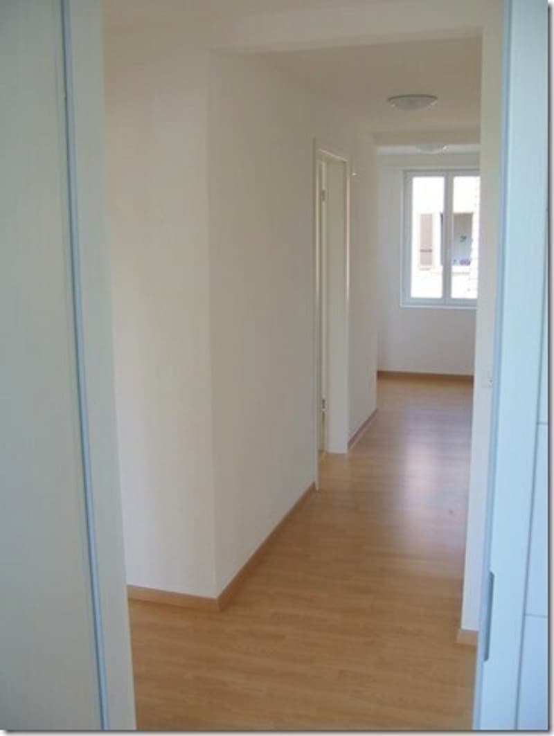 Helle 5.5-Zi. Maisonette-Attikawohnung mit Terrasse und Gartenanteil (6)