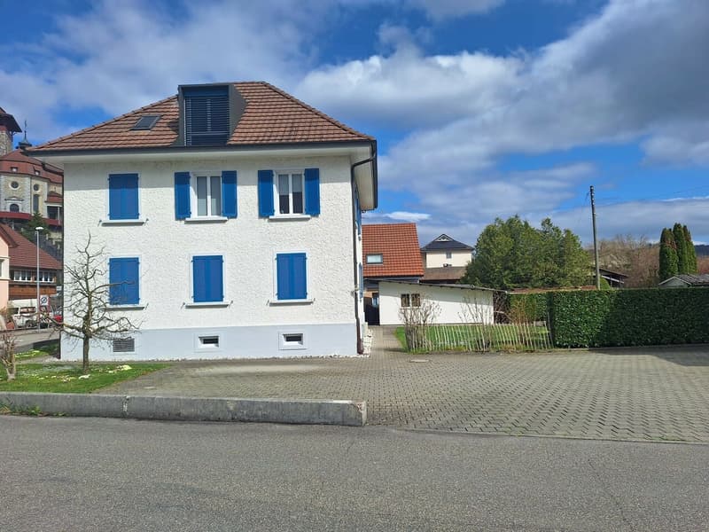 Helle 5.5-Zi. Maisonette-Attikawohnung mit Terrasse und Gartenanteil (1)