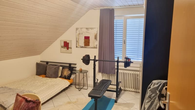 Moderne, heimelige Dachwohnung an zentraler Lage (7)