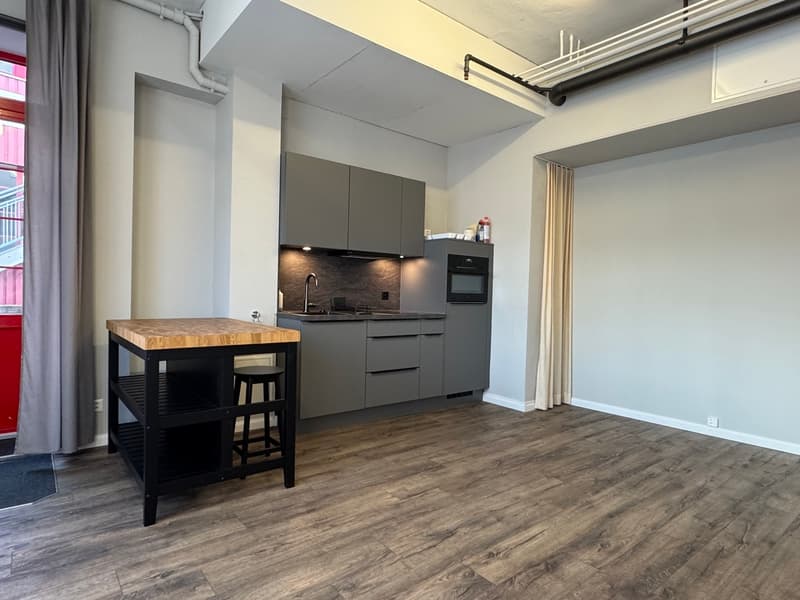 Loft / Studio in Gehdistanz Bahnhof Frenkendorf (2)