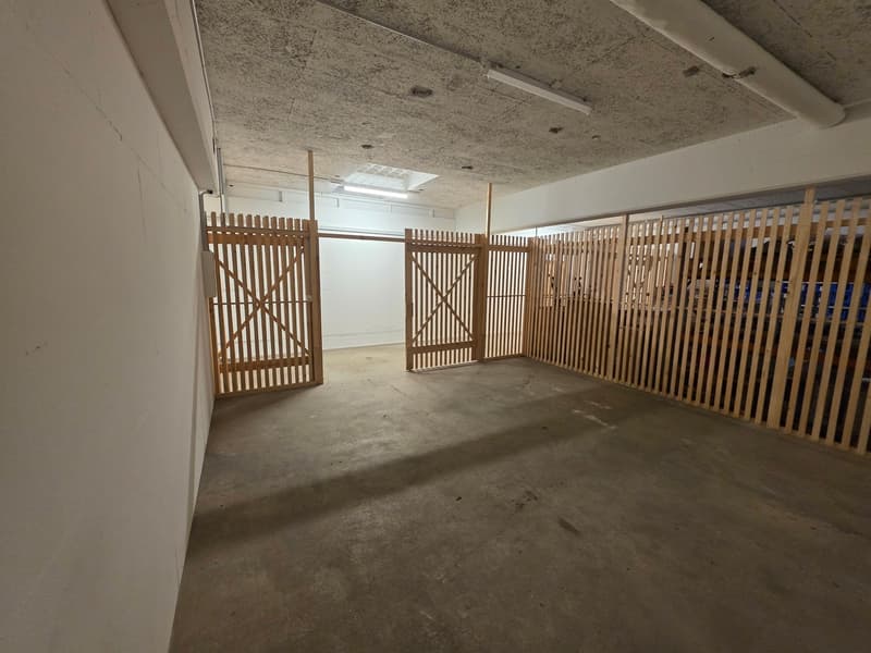Grosser Keller-/Lagerraum per sofort zu vermieten (1)