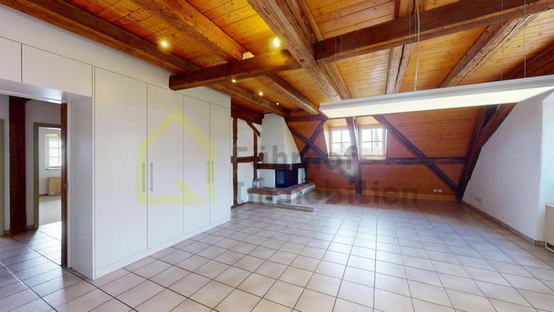 Grosse Maisonette-Wohnung mit Schlossfeeling (5)