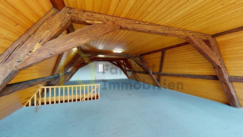 Grosse Maisonette-Wohnung mit Schlossfeeling (3)