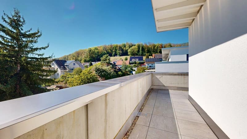 Stilvolle Attikawohnung mit sonniger Dachterrasse (7)