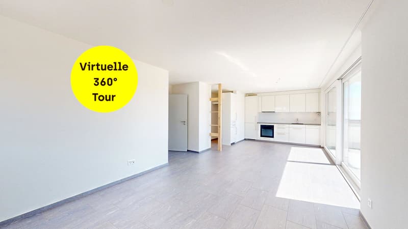 Stilvolle Attikawohnung mit sonniger Dachterrasse (1)