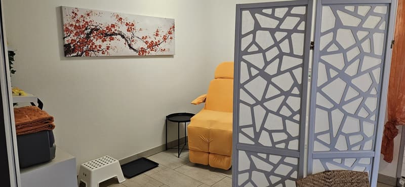 Charmante 1.5-Zimmer-Wohnung (5)