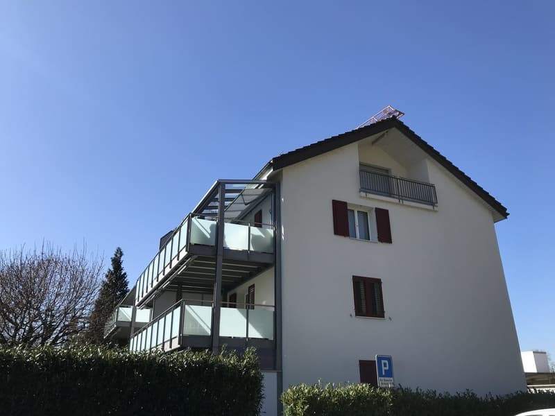 Heimelige 1 Zimmer-Dachwohnung (2)