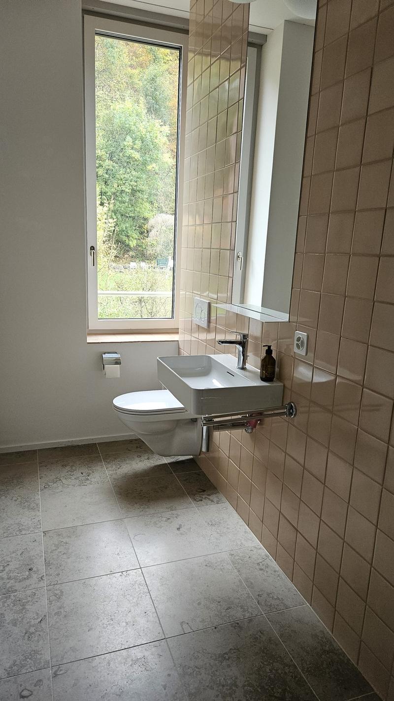 Traumhafte Wohnung in Ennetbaden (7)