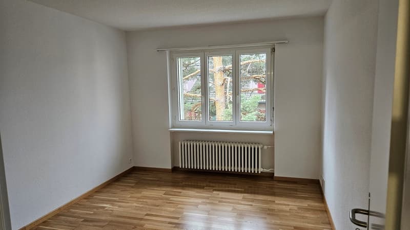 Wohnen in der Stadt Brugg AG (8)