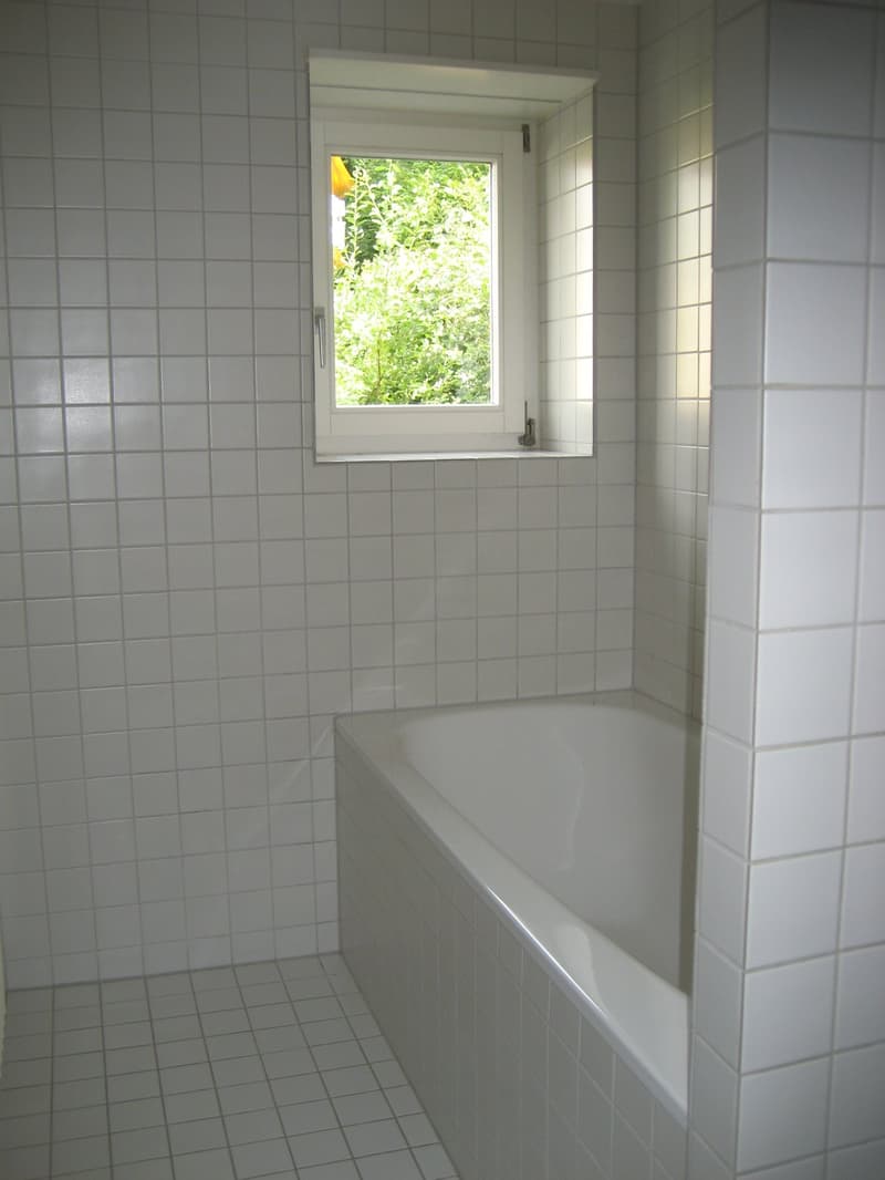 Behagliche Wohnoase (5)