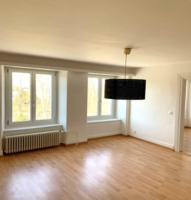 Grosszügig, gemütlich und günstig (3)