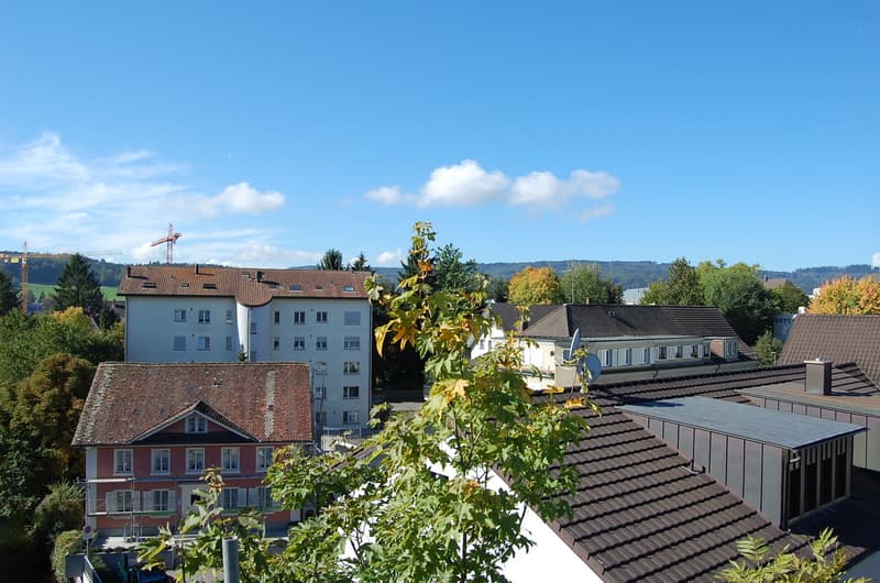 Wohn- und Geschäftshaus an zentraler Lage (4)