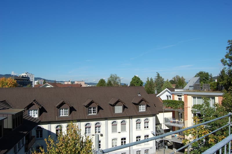 Wohn- und Geschäftshaus an zentraler Lage (3)
