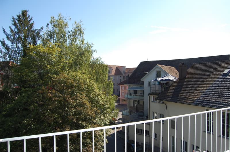 Wohn- und Geschäftshaus an zentraler Lage (5)