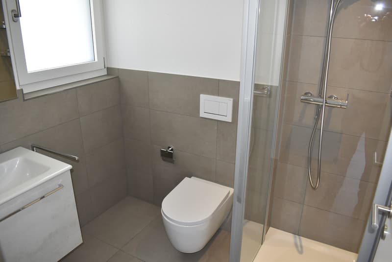 Attraktive 4½ Zimmerwohnung mit Sicht auf Hallwilersee (6)