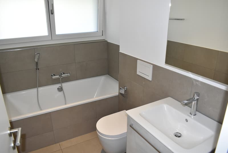 Attraktive 4½ Zimmerwohnung mit Sicht auf Hallwilersee (5)