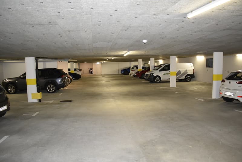 Attraktive 4½ Zimmerwohnung mit Sicht auf Hallwilersee (10)